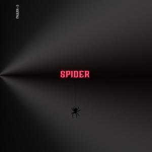 spider