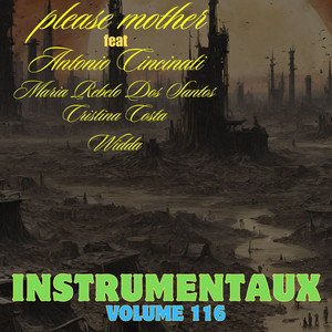 instrumentaux vol.116