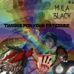 Thanks For Your Patience (Explicit)