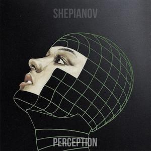 Perception (Explicit)