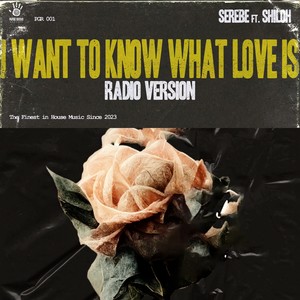 I Want to Know What Love Is (Radio Version)