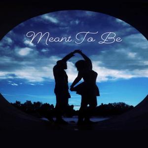 Meant To Be (feat. Flux)