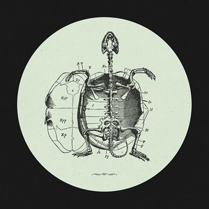 Hot Sea's Baby Turtle (Ernesto Ferreyra Remix)