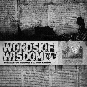Words of Wisdom (feat. Yasad One & DJ Navin Johnson) (Remix)