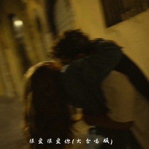 很爱很爱你-不凌.