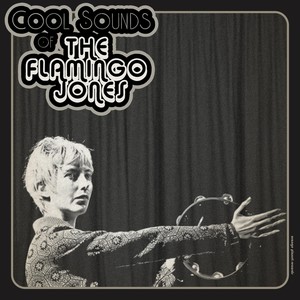 Cool Sounds of The Flamingo Jones