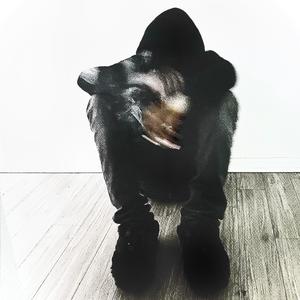 SS Freestyle (Explicit)