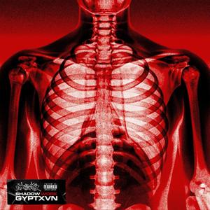 SHADOW WORK (feat. 1735haydxn & X6uhn) (Explicit)