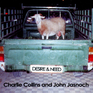 The Ambiguities of Freedom