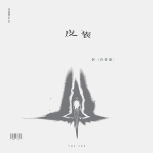 皮囊