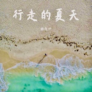 行走的夏天