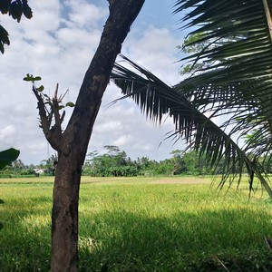 Mbah dukun