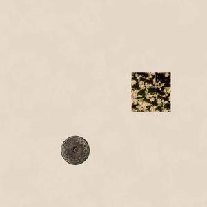 Escape the Metaverse