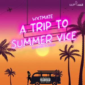 A.T.S.V. a trip to summer vice (Explicit)