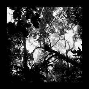 Kodama (ogtrues Remix)