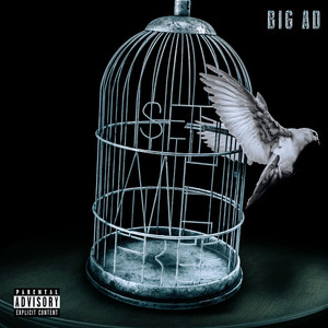 Set Me Free (Explicit)