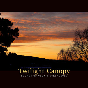 Twilight Canopy