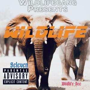Wildlife (Explicit)