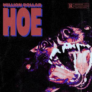 Million Dollar Hoe (feat. guijvrrx) [Explicit]