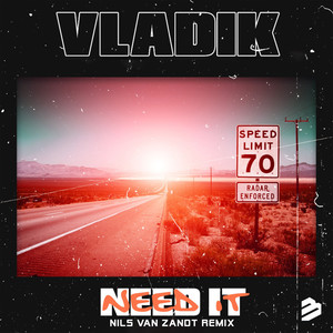 Need It (Nils van Zandt Radio Edit)