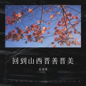 回到山西晋善晋美