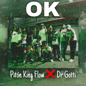 Ok (feat. Dr Gotti) [Explicit]