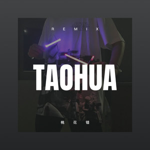 桃花错 (DJ版)