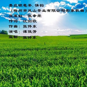 嘉应银毫茶.情韵