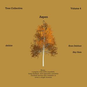 Volume 4: Aspen