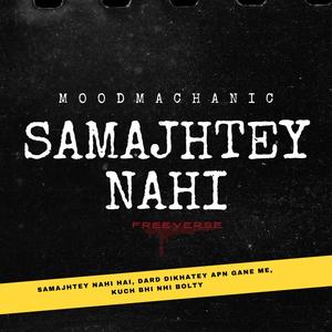 SAMAJHTEY NAHI (FREEVERSE) [Explicit]