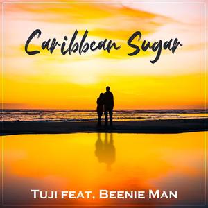 Caribbean sugar (feat. Beenie Man & Chris S)