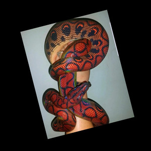 Restless Nights (Explicit)