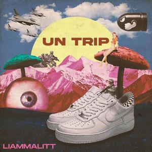 UN TRIP (Explicit)