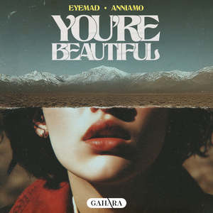 You're Beautiful