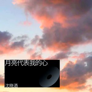 月亮代表我的心