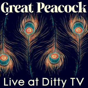 Live at DittyTV