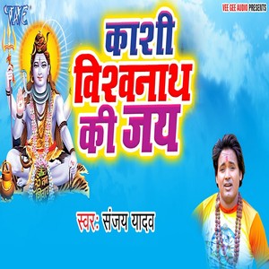 Chadhte Sawanwa Ae Raja