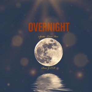 Overnight (feat. Rose Gld) [Explicit]