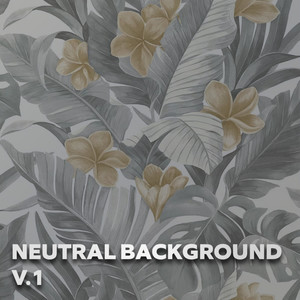 Neutral Background Vol.1