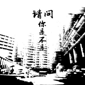 汪猛 - 请问你是不是王三水 (Inst.)