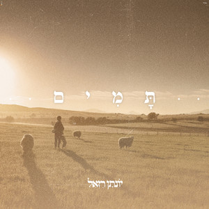 תמים