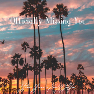 Officially Missing You (Remix)