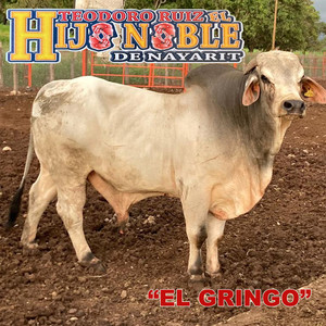 El Gringo