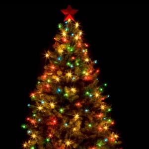 Christmas Tree (Explicit)