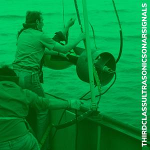 New Planet (feat. Summer Camp Steve & Greg Allison)