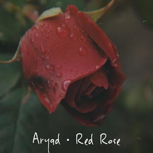 Red Rose