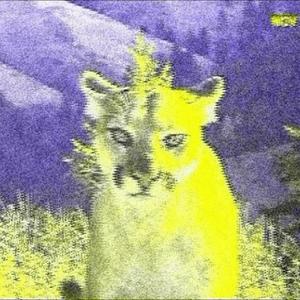 circles (too much) (Explicit)