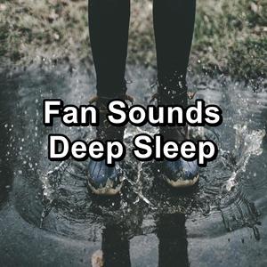 Fan Sounds Deep Sleep