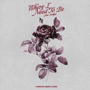 Where I Need To Be (feat. INDIGOWAVV) (Explicit)