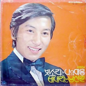 비내리는 남산길 (雨中的南山路)